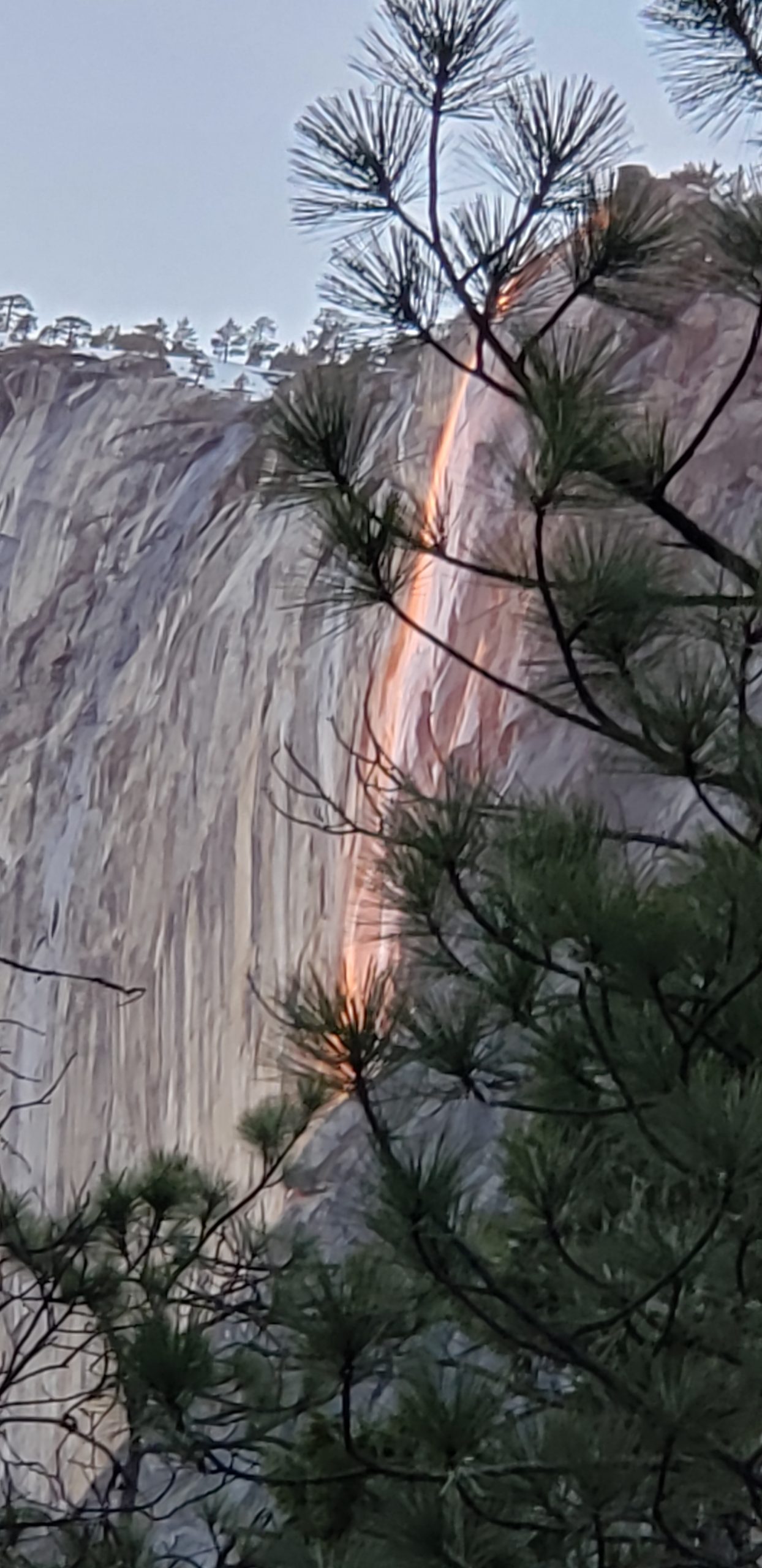 Read more about the article Yosemite – Firefall- How to have a Bucket List Experience in February